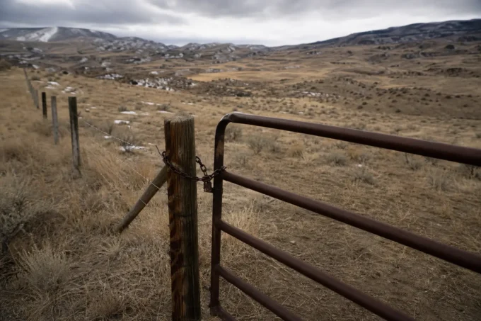 Editorial image for What Actually Happens When Hunters Don't Show Up in Conservation Gets Real the Day the Gate Locks