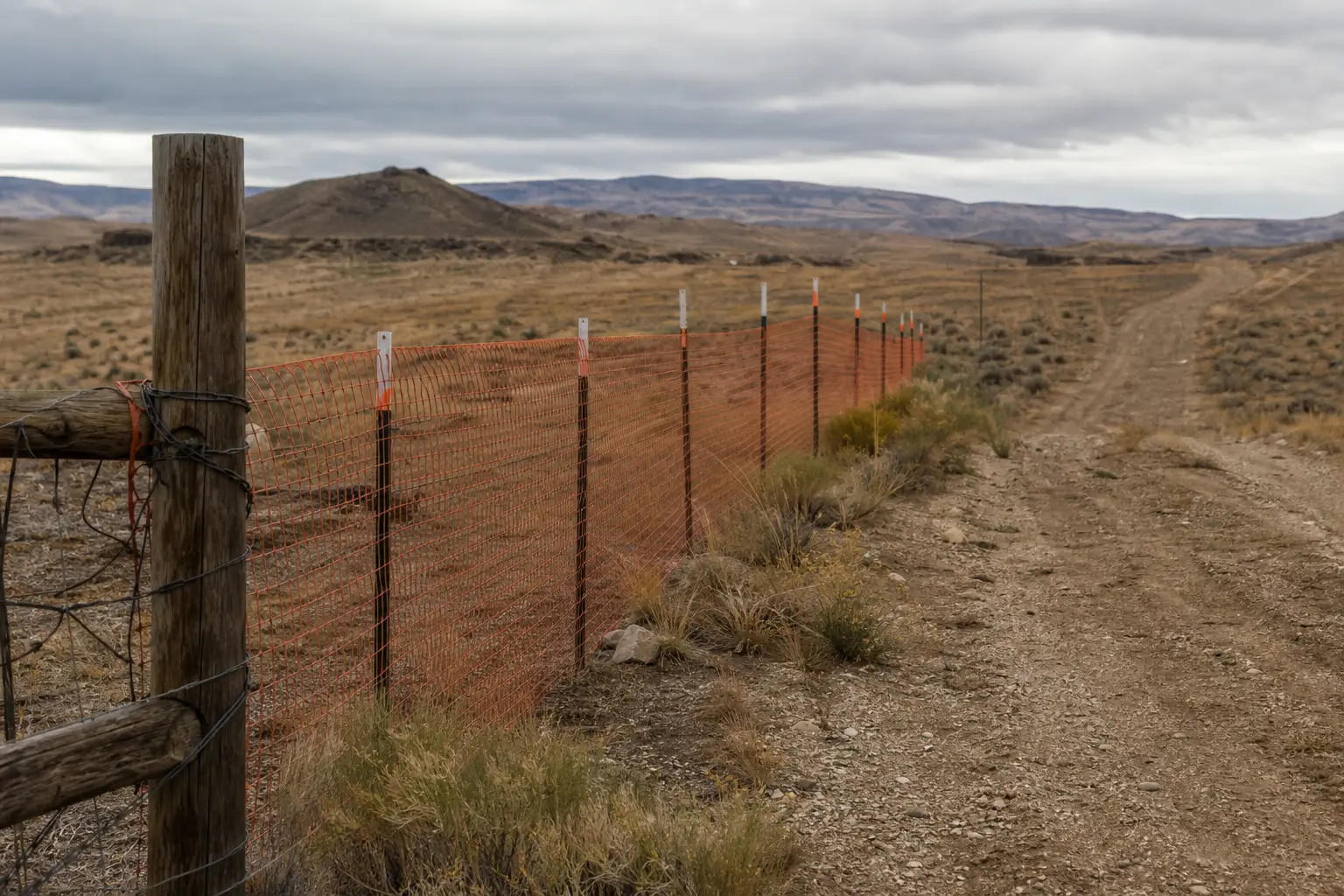 Orange mesh fence stretches along a dirt trail, with wooden posts and tall stakes in a barren mountain landscape