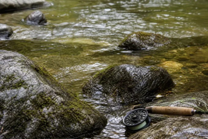 Editorial image for That Was Supposed To Be My "Real" Fishing Day in I Fell Into the River on My First Fly Fishing Trip (And Kept Going)