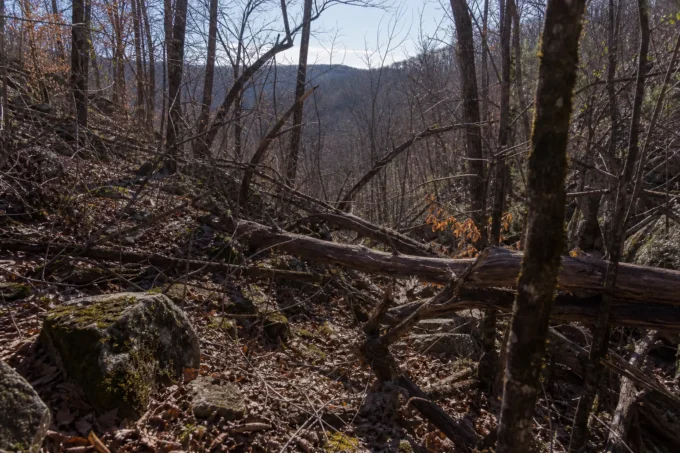 Editorial image for The Plan That Wasn't in I Relied on a Hunting App Instead of My Eyes. Then My Phone Died.