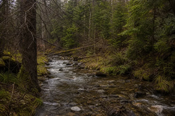 Editorial image for What I Did Right (By Accident) in Lost in the Backcountry Is a Place You Walk Into by Accident