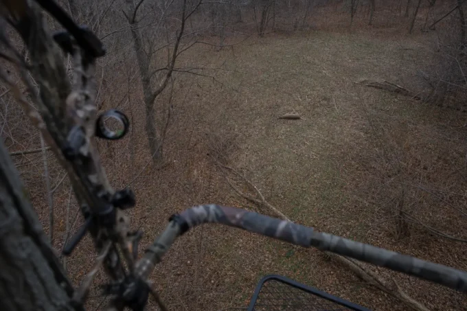 Editorial image for Opening Morning in The First Deer I Shot Alone (With a Craigslist Bow and No Idea What I Was Doing)