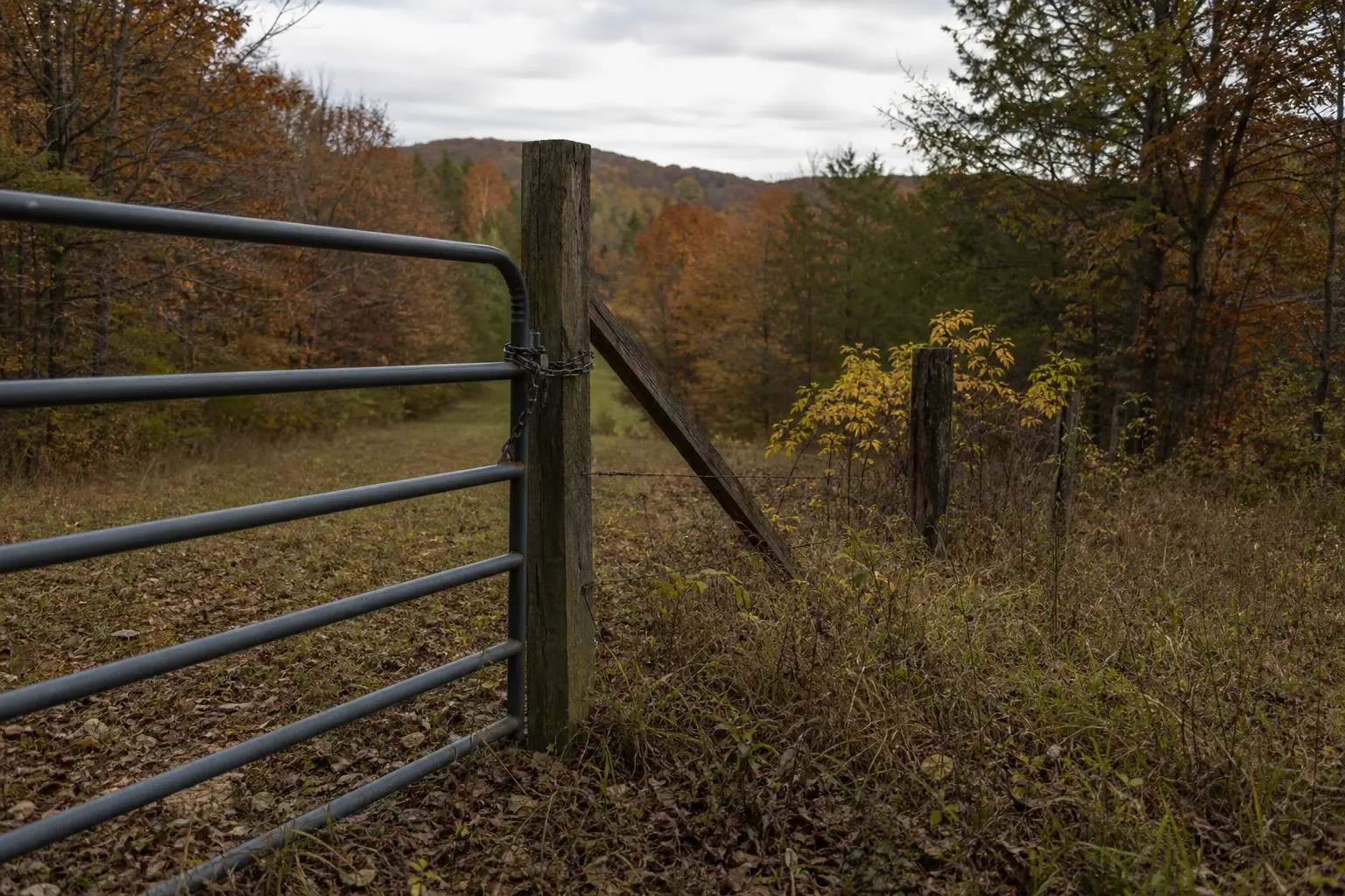 Metal fence panels with wooden posts run through a grassy hillside with autumn trees and distant mountains under cloudy sky