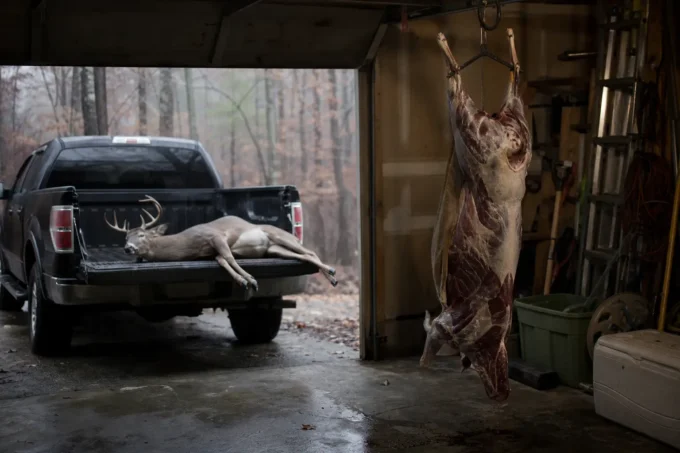 Editorial image for The First Rule Nobody Taught Me in Venison Doesn’t Taste Gamey. You Just Handled It Wrong.