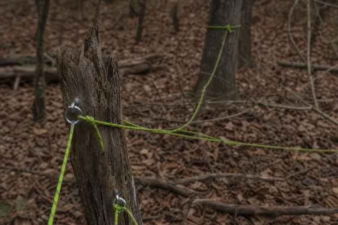 Editorial image for The Rube Goldberg Deer Hunt in A Bucket, a Rope, and a Fake Exit From the Stand