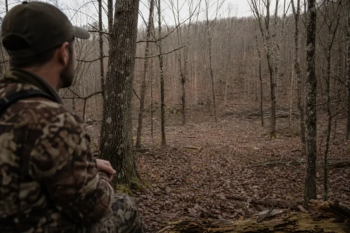 Editorial image for The Buck-Only Brain Rot in Five Years as the Hunter Conservationists Warn You About