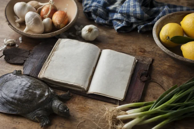 Editorial image for Practical Notes in Great-Grandfather’s Leather Folder, Recipe No. 14: Soft-Shell Turtle