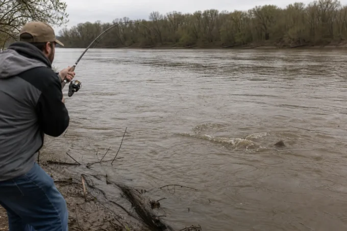 Editorial image for Twenty Minutes of Stupid in Hooking the Biggest Catfish of Your Life and Losing It at the Bank. Here Is What Went Wrong.