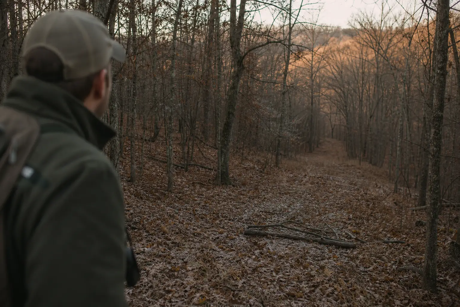 Person in a cap and jacket stands at left, looking down a leaf-covered dirt path through bare trees