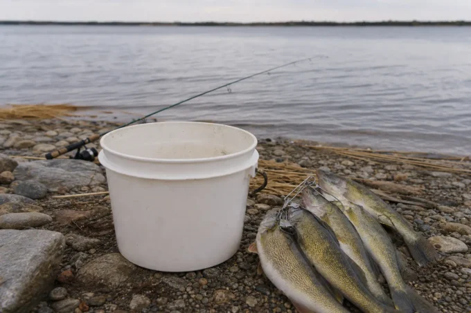 White bucket on a rocky shoreline beside a bundle of fish, with a fishing rod extended over the water