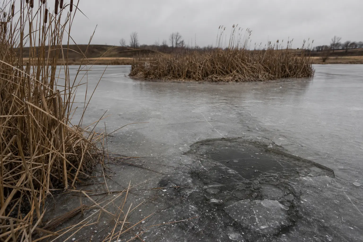 Frozen river with icy surface and exposed rocks, reeds along the bank, cloudy sky, and leafless trees in the distance