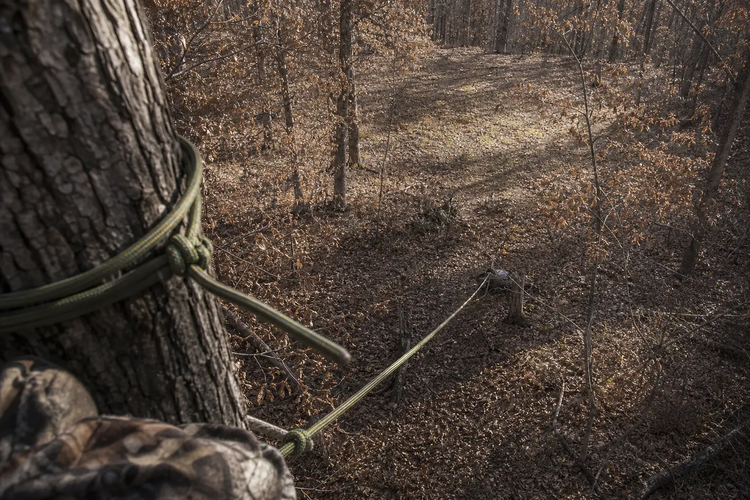 Camouflaged sleeve and rope-covered branch edge in foreground, looking toward a muddy trail through leafless trees