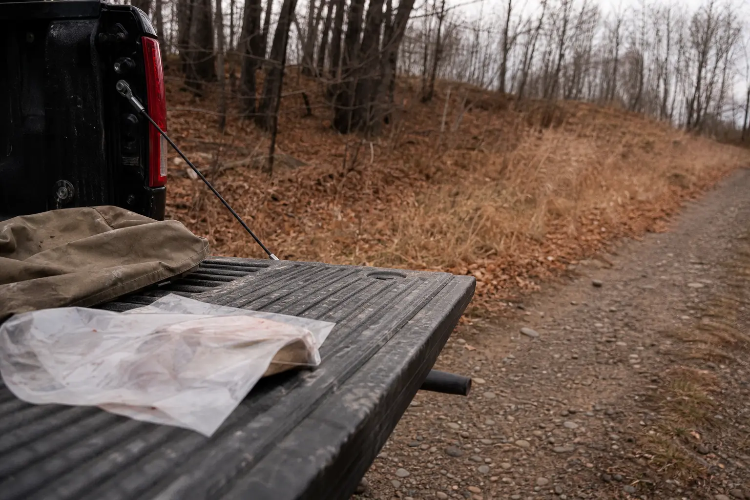 Open pickup truck bed with a bundled tarp and a rod resting near the tail light; wooded path in the background
