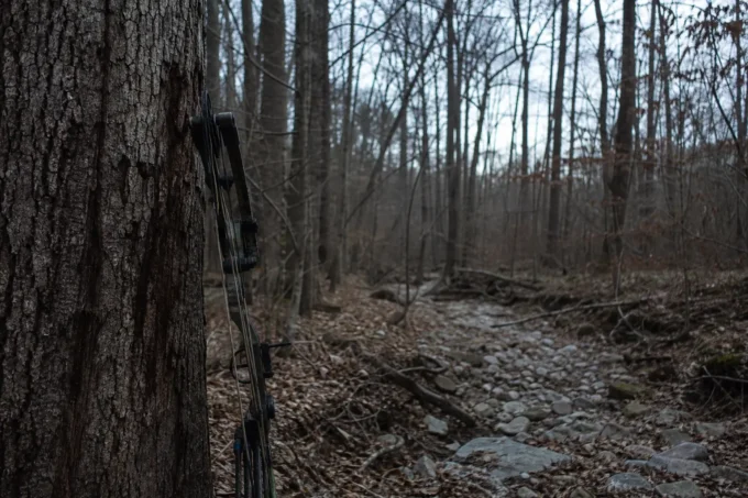 A dark compound bow mounted against a tree trunk, overlooking a rocky forest floor with scattered branches and trees