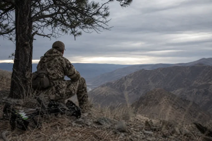 Editorial image for The Real Reason It Matters in The Bow Does Not Hold Steady Under Sixty-One Pounds