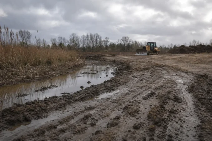 Editorial image for The Thing Nobody Tells You About Losing a Spot in When a Bobcat Takes Your Favorite Marsh – Conservation Finds You Anyway