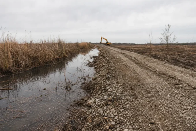 Editorial image for The Thing Nobody Tells You About Losing a Spot in When a Bobcat Takes Your Favorite Marsh — Conservation Finds You Anyway