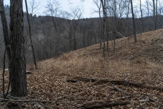 Editorial image for The Mistake Wasn't the Shot in A Buck That Dropped Like a Stone and Then Ran Off With a Second Chance