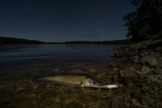 Four Years of Fishing Walleye the Way the Books Said, Then a Cousin Pulled One Out of Three Feet of Water.