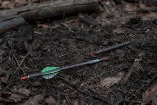 Two arrows lie on dark soil and small twigs, one with a green fletching and a metal tip