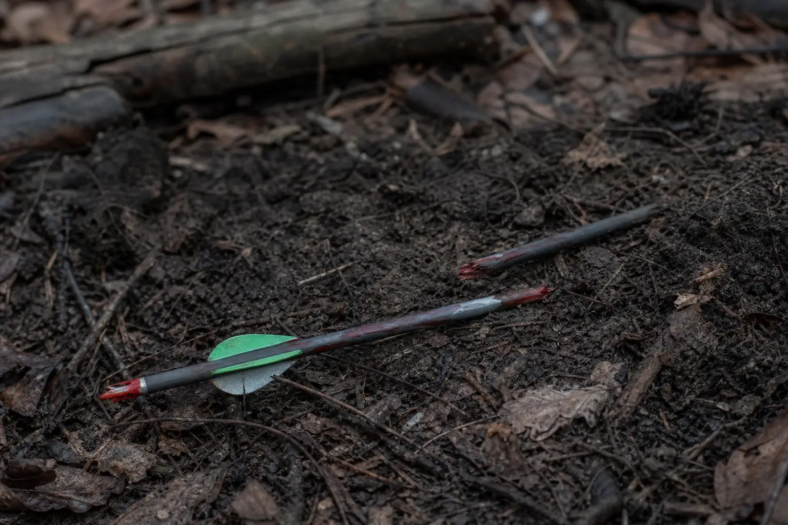 Two arrows lie on dark soil and small twigs, one with a green fletching and a metal tip