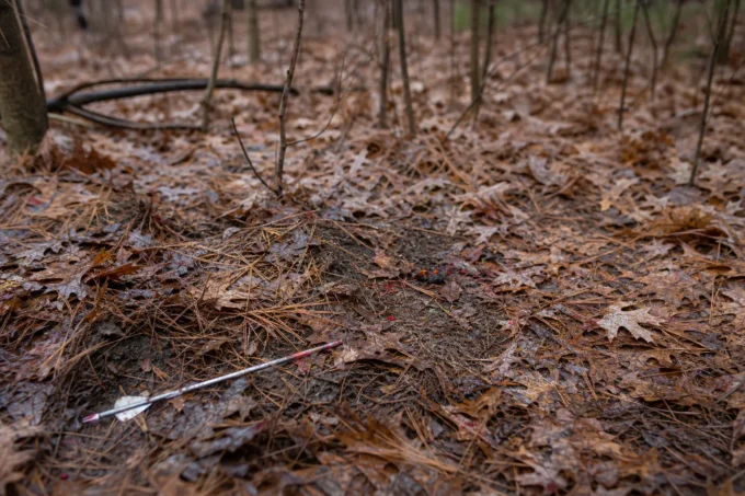 Editorial image for The Blood That Wasn't There in I Bumped the Buck I Shot and Almost Lost Everything