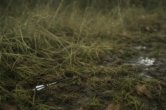 Editorial image for The Shot I Took Too Soon in I Sold My Bow After Losing My First Deer, and Ray Talked Me Back Into the Woods