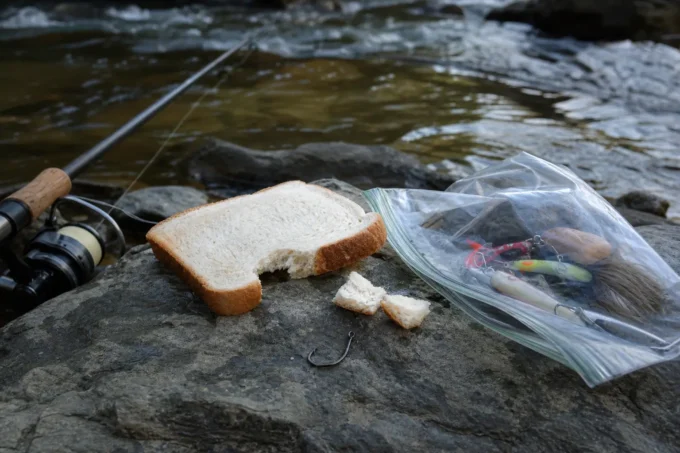 Editorial image for Spite, and a Wad of Something I Will Not Name in The Bare Hook and a Wad of Bread That Outfished Everything in My Box