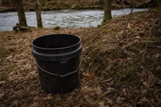 Editorial image for The Video Never Mentioned the Bucket in The Bucket of Blood Nobody Warns You About