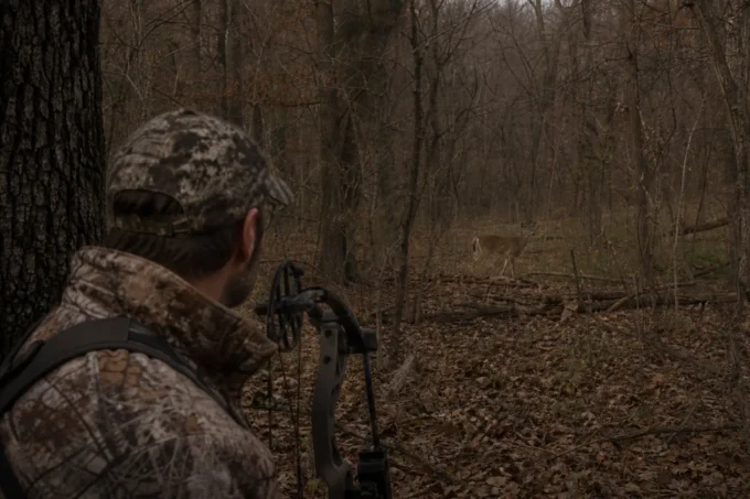 Editorial image for The Rule I Never Questioned in The Doe I Passed for Fifteen Years, and the Herd That Paid for It