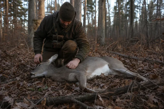 Editorial image for The First Doe I Took on Purpose in The Doe I Passed for Fifteen Years, and the Herd That Paid for It