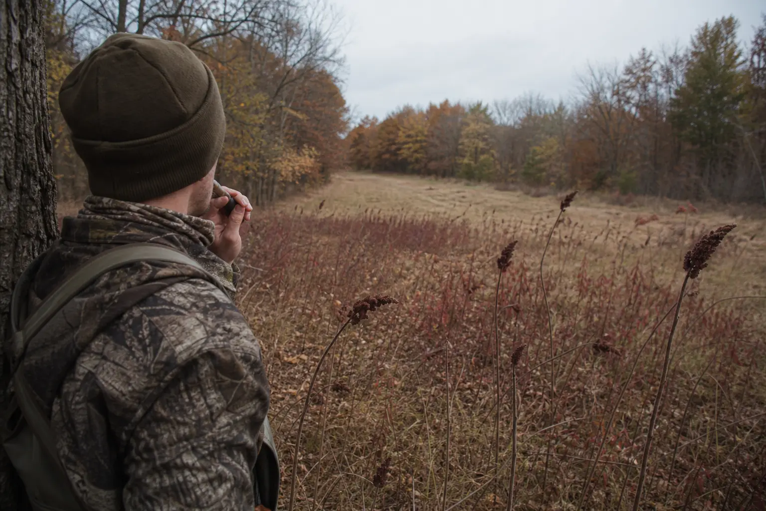 Person in camouflage jacket and dark beanie stands beside trees, holding an object near their face in an open grassy field
