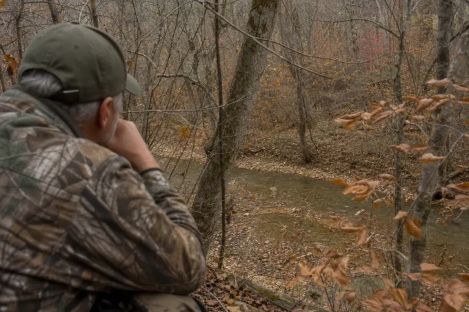 Editorial image for More Is Not Better in The Grunt Call That Ran the Buck Off
