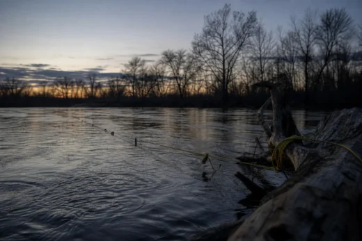 River at dusk with rippling water, bare trees along the banks, and fishing rods extended from the right foreground