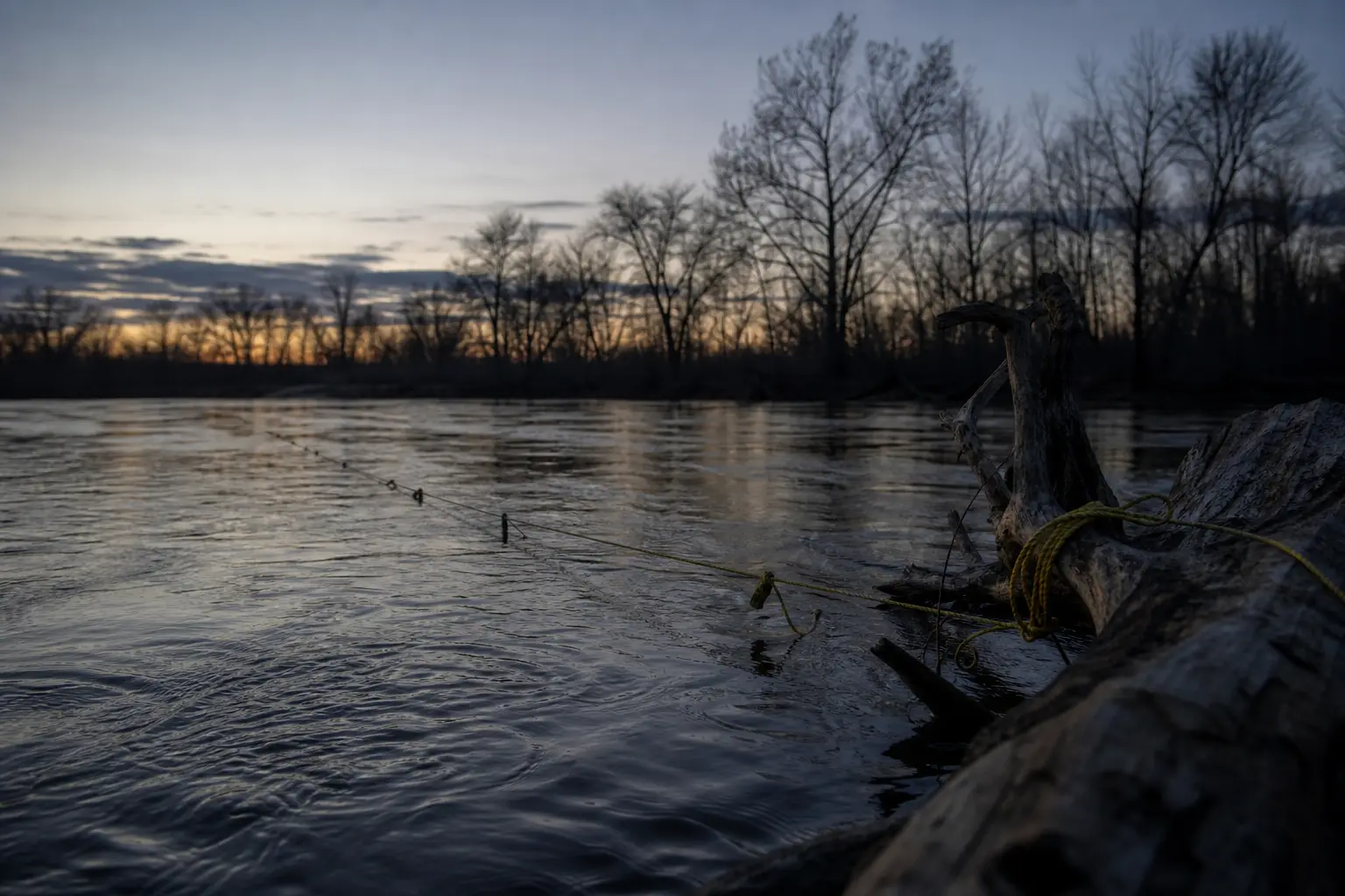 River at dusk with rippling water, bare trees along the banks, and fishing rods extended from the right foreground