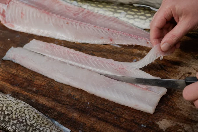 Editorial image for Why the Y-Bone Hides in The Northern Pike That Gave Me a Mouthful of Y-Bones and a Lesson I Didn’t Want