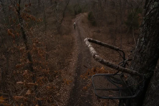 Camouflaged bow and arrow rest with a mesh basket mounted near tree trunks along a leaf-covered forest path