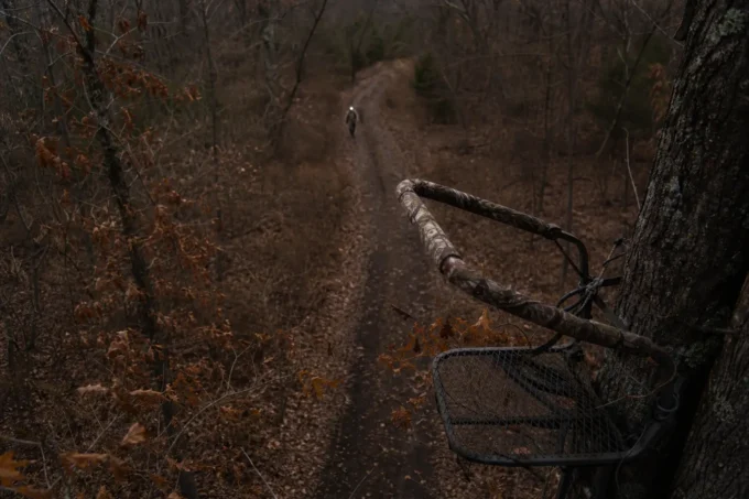 Camouflaged bow and arrow rest with a mesh basket mounted near tree trunks along a leaf-covered forest path