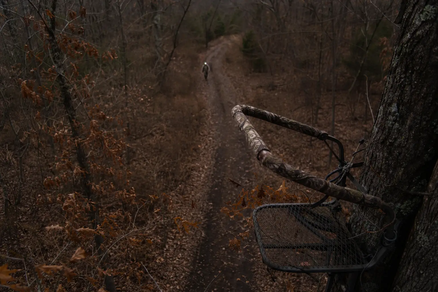 Camouflaged bow and arrow rest with a mesh basket mounted near tree trunks along a leaf-covered forest path