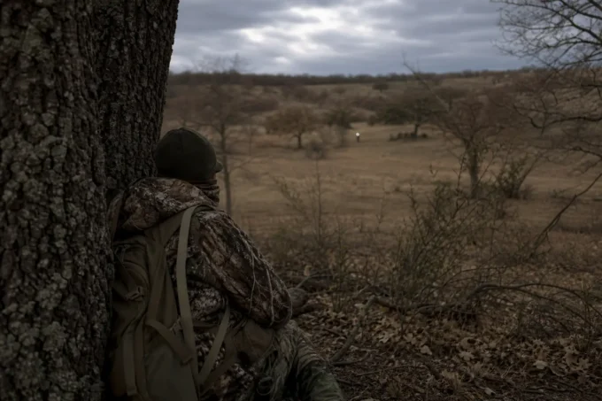 Editorial image for The Three-Hour Drive That Died at the Gate in The Opening Day I Spent Mad at a Man Who Wasnt Even in My Tree
