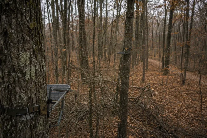 Editorial image for Two Men In One Pocket of Woods in The Opening Day I Spent Mad at a Man Who Wasnt Even in My Tree