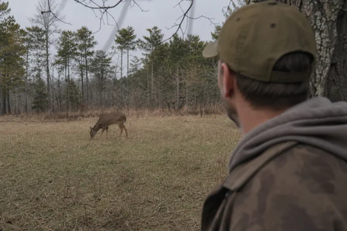 Editorial image for The five minutes I spent trying to argue with a deer in The Tack Driver They Told Me Was Too Small for Deer