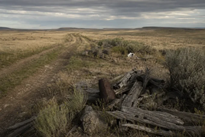 Editorial image for What the Land Gives a Man Who Reads It in You Took the Wrong Ruts and Lost the Road. Now Find West With a Floating Needle and the Dead Man’s Habits.