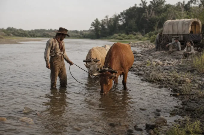 Editorial image for Water First, Then Shade, Then Wait in Four O’clock and the Last Ox Gone Down: Keeping a Family and a Sick Man Alive Through the Plains Heat