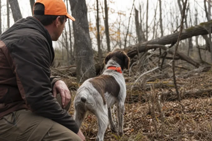 Editorial image for What the Dog Taught Me in I Bought a Pretty Rifle and a “Modern” Bullet, and They Made Me Lose a Buck for Four Hours