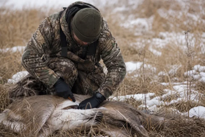 Editorial image for What I Do Now, Every Single Time in I Let a Sixty Degree Buck Spoil Because I Thought Cold Weather Did My Work for Me