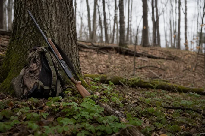 Editorial image for The Hunter Who Walked Past Dinner in I Paid a Lawn Company to Kill Dinner for Fifteen Years Before a Ditch Weed Fed Me