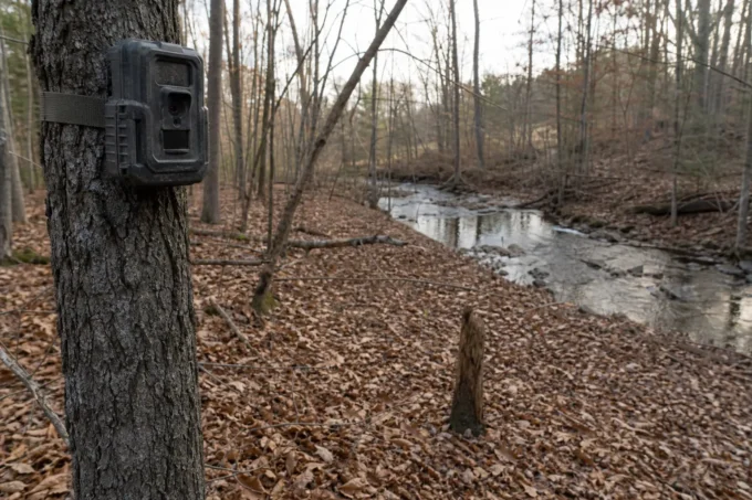 Editorial image for The Camera Made Me a Landlord Who Owned Nothing in I Treated a Trail Camera Like a Deed to Public Land and It Cost Me Four Seasons of Deer
