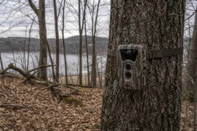 Editorial image for The Difference Between Scouting and Staking a Claim in I Treated a Trail Camera Like a Deed to Public Land and It Cost Me Four Seasons of Deer
