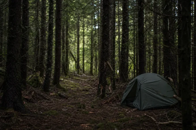 Green tent pitched on a forest floor among tall trees, with a narrow path leading deeper into the woods